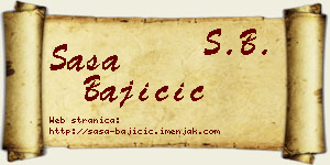 Saša Bajičić vizit kartica